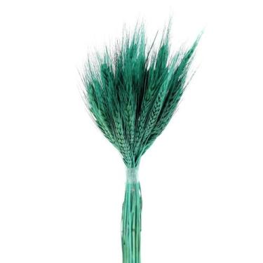 Imagem de Trigo Verde Desidratado p/ Decoração - Tem Flores