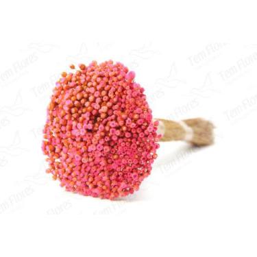 Imagem de Buque de Jazida Desidratado - Pense Flores, Rosa