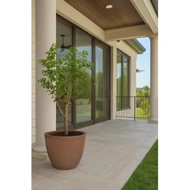 Imagem de Vaso Grand Planta Redondo Polietileno Jabuticabeira Fruteira (Marrom)