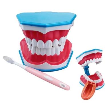 Imagem de Modelo de ensino odontológico 6X, modelo de dentadura com língua, modelo de ensino de escovação de alunos, removível + material ABS, para demonstração de educação de estudo,Multi-colored