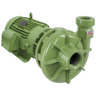 Imagem de Bomba centrífuga schneider bc-21 r 1 1/4 (*) 3 cv trifásica 220v/380v/