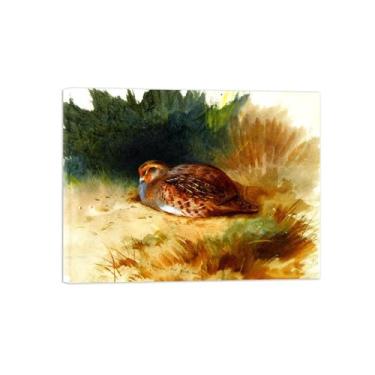Imagem de Animais Pinturas Famosas Arte Parede-Fotos Lona para Sala de Estar-Uma jovem perdiz-Pôster e Imprimir Decoração 20x25cm8x10in Tela Embrulhada