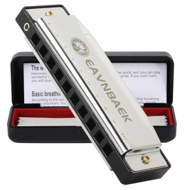 Imagem de Eavnbaek Gaita de órgãos com boca de harpa azul, 10 furos, 20 tons, gaita diatônica blues, chave C, para crianças, adultos, estudantes, iniciantes, profissionais, com estojo rígido e pano de limpeza (prata)