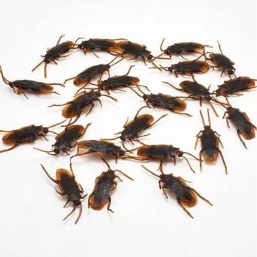 Imagem de Kit 10 Baratas Plástico Inseto 5cm Decoração Pegadinha