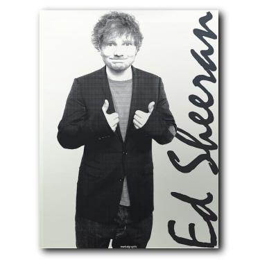 Imagem de Placa mdf 30 cm x 20 cm - Ed Sheeran (BD01)