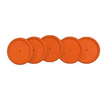 Imagem de Discos + Elástico Laranja Neon G - Caderno Inteligente