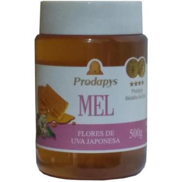 Imagem de Mel Flores de Uva Japonesa 500g - Prodapys