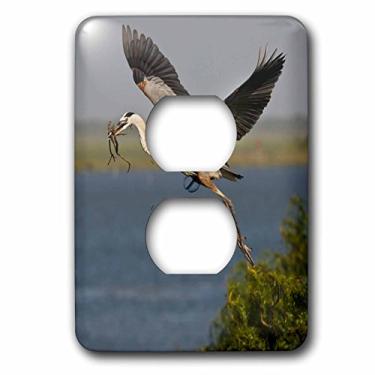 Imagem de 3dRose lsp_147002_6 Great Blue Heron Bird with Nest Material, Texas, Usa Us44 Ldi0896 Larry Ditto 2 Plug Outlet Cover