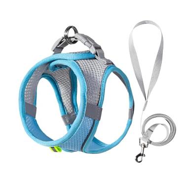 Imagem de Peitoral ajustável antipuxão com coleira de 1,5 m, refletor acolchoado confortável para cães e gatos pequenos (2,9 kg - 5,9 kg), serve para Papillon, maltês