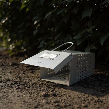 Imagem de Ratoeira Armadilha Pega Rato Gaiola Grande Com Mola