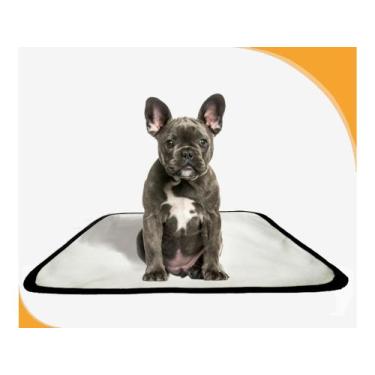 Imagem de Tapete Canino Lavável Pet Em Oferta 10Un P 50X60Cm - Shelby Moda Pet