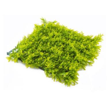 Imagem de Painel verde 50x50 samambaia GG008A - Graddus