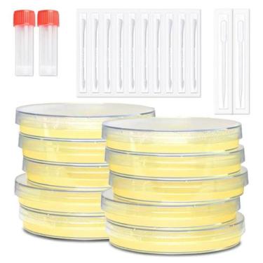 Imagem de Kit de Ciência com Placas de Ágar Nutriente em Placas de Petri, 30 Pla