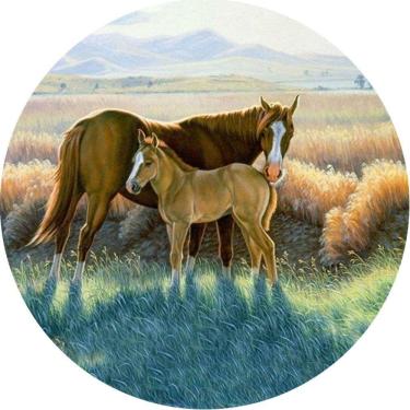 Imagem de Capa Para Estepe Ecosport Crossfox Cavalos