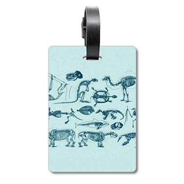 Imagem de Animal Bone Sketch Ilustrações Mala Etiqueta Bagagem Cartão Pendurado Etiqueta Scutcheon Etiqueta, Multicolorido.