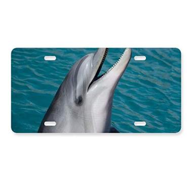 Imagem de Placa de licença de aço inoxidável para decoração de placa de carro com golfinho de água oceânica