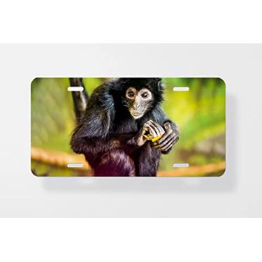 Imagem de Capa para placa de licença Finishing A Meal Under Watchful Eyes – Capa para placa de carro – Capa para placa de carro 15 x 30 cm