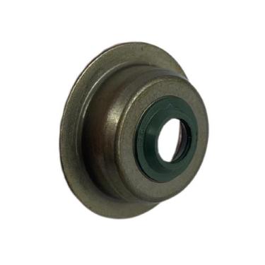 Imagem de Assento Mola Da Válvula Do Motor á Gasolina 5.5hp Branco, Assento Mola