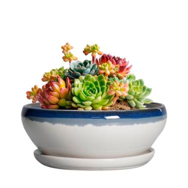 Imagem de SQOWL Plantadores de suculentas de 15 cm - vasos de bonsai de cerâmica com orifício de drenagem e pires, vaso raso redondo para plantas internas e externas, vaso de cacto de cerâmica, decoração de