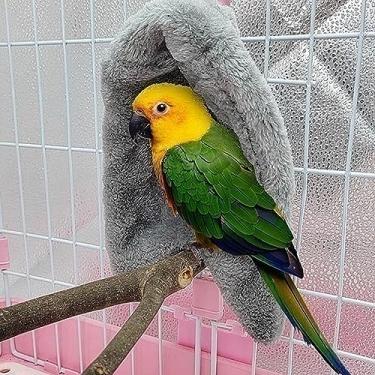 Imagem de Acouto Cobertor - Cobertor e Aconchegante Cinza Amazona Eclectus Cockatoo - Suprimentos para Animais de Estimação/pássaros/acessórios para Gaiola/ninhos (Cinza)
