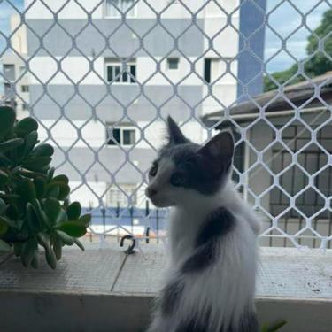 Imagem de Kit Malha 3x3 Rede Tela de Proteção 1.00X1.30 Para Gatos Filhotes, Pás