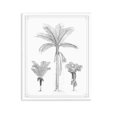 Imagem de Stupell Industries Arte de placa de parede com esboços de trio de palmeiras, design por letras e forradas, 35,5 x 28,5 cm