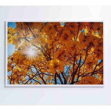 Imagem de Quadro Ipê Amarelo 2 60x40 Cm Adesivo Fotográfico