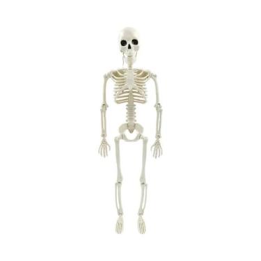 Imagem de Esqueleto De Halloween Com Ossos De Crânio Em Tamanho Real 40/90cm, De