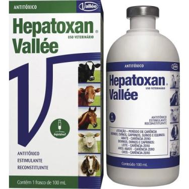 Imagem de Hepatoxan Vallée Antitóxico Injetável 100ml