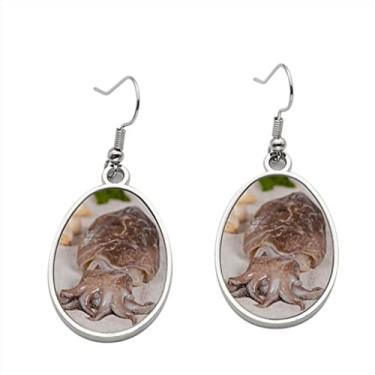 Imagem de Brinco 3 brincos Raw Cuttlefish – Brincos com pingente para meninas – Presente de festa de aniversário dos namorados