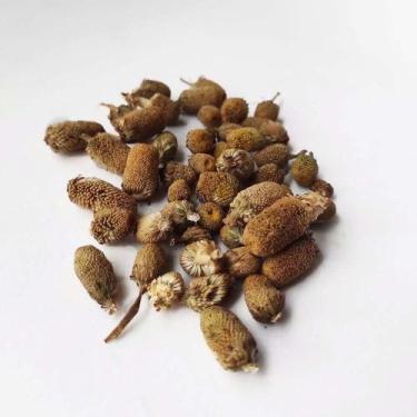 Imagem de Flor de Jambu desidratada - flordejambu.com, 50g