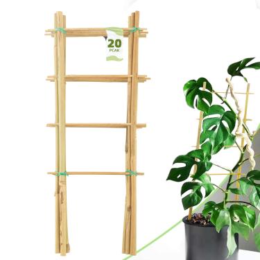 Imagem de Avalution Pacote Com 20 Treliças De Bambu Para Plantas Trepadeiras Internas, Escada Jardim 40 Cm Em Vasos, Suporte Pequenas Formato Leque, Hera, Hoya, Trepadeira, Monstera