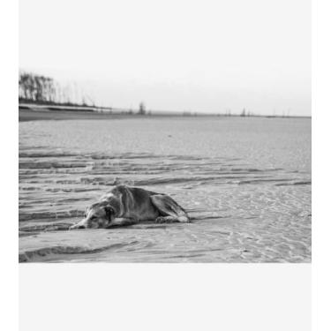 Imagem de Silêncio Infinito 23 - Amazart