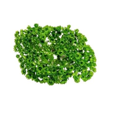 Imagem de SEMPRE VIVAS FLORZINHAS DESIDRATADAS PARA LEMBRANCINHAS ARRANJOS DE MESA CASAMENTOS MAÇO ORGANIZADO(VERDE CLARO)