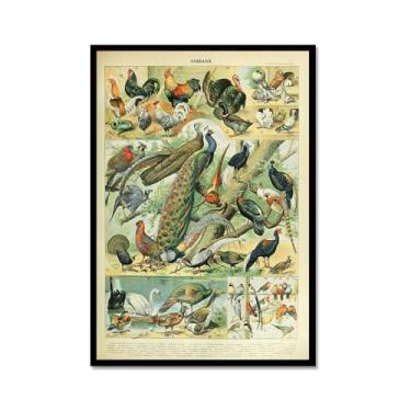 Imagem de Pôster vintage de pássaros franceses ornitologia impressão de pássaros presentes para pássaros educação arte de parede pintura em tela sala de estar decoração de casa (SKU4,20.3x30.5 cm = (20x30cm