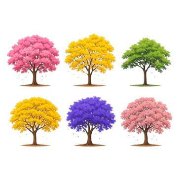 Imagem de Kit 150 Sementes De Ipês e Jacarandá roxo 6 especies