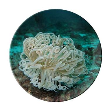 Imagem de Prato de água-viva verde oceano ciência natureza decorativo de porcelana salver talheres, prato de jantar
