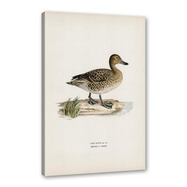 Imagem de Pôster de arte de parede vintage com estampa de pato rústica, pássaros, lago, natureza, retrô, pintura, quadros, decoração de quarto de fazenda (SKU8,27.9x35.6 cm = (28 x 35 cm), emoldurado (tela