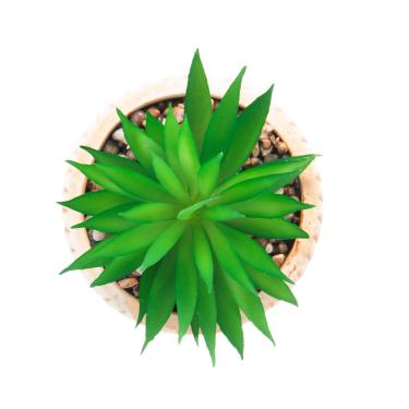 Imagem de Cachepot Wolff Suculenta Rattan 19cm Natural Cerâmica para Plantas