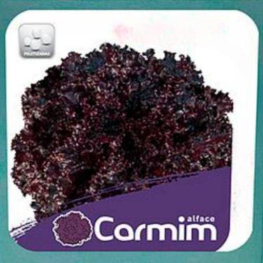 Imagem de Sementes de Alface Carmim Crespa Peletizada (400un) ISLA