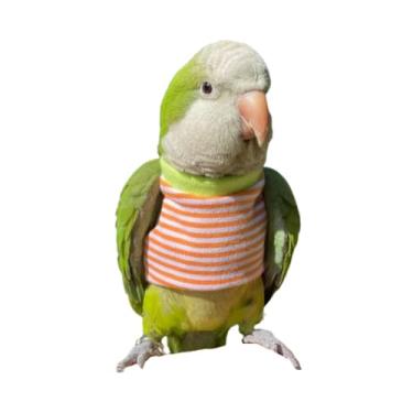 Imagem de Roupas de pássaros - Camisa vermelha de algodão feita à mão, suéter de gola redonda, terno de voo para papagaios, cinza africano, periquito, calopsita, sol, conure, Natal, Halloween, cosplay, roupas