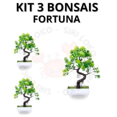 Imagem de Genérico, Kit 3 Bonsai Beleza sem Cuidados Modelo Fortuna