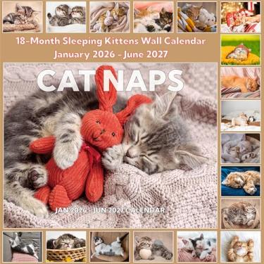 Imagem de Calendário 2026-2027, calendário de cochilos de gato 2026-2027 parede. Jan 2026 - junho de 2027, 28 x 43 cm (aberto), calendário de parede de gatinhos dormindo de 18 meses, blocos sem pautas, papel