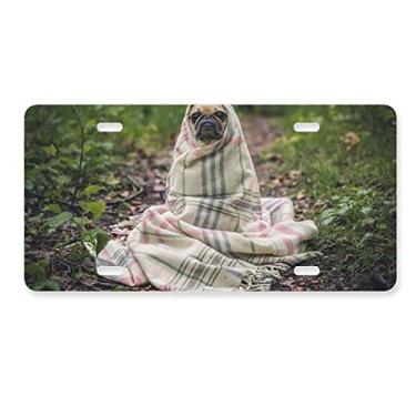 Imagem de DIYthinker Placa de carro Bulldog para fotografia de animais de estimação, decoração de carro, acessório de aço inoxidável