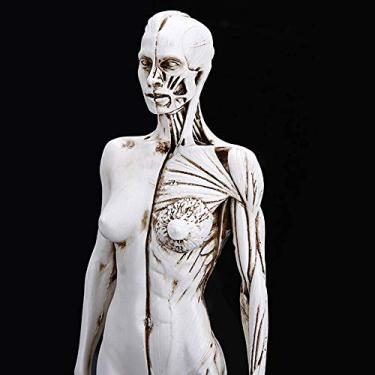 Imagem de EHVYBDX Modelo de anatomia humana figura anatomia feminina modelo de anatomia muscular superficial ornamento de laboratório referência anatômica para artistas