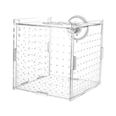 Imagem de Fenteer Caixa de criação de peixes para aquário, aclimatação, incubatório, acrílico transparente, caixa de isolamento para peixes doentes, criador de, Quarto Individual