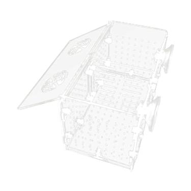 Imagem de Baoblaze Caixa de isolamento para criação de peixes de aquário, caixa de aclimatação para aquário, incubadora para alevinos, peixe-palhaço, tartaruga, camarão, Quarto Duplo