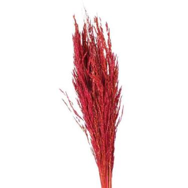 Imagem de Planta Seca Capim Arroz do Cerrado Vermelha - Pense Flores