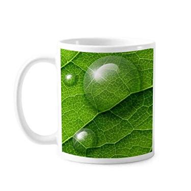 Imagem de Caneca de cerâmica com estampa de condensação de planta verde e porcelana para café