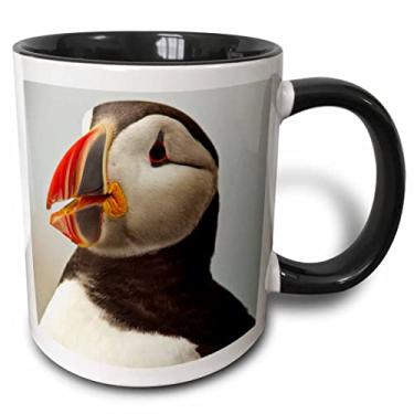 Imagem de 3dRose Atlantic Puffins, Machias Seal Island, Cutler, Maine-US20 CHA0008-Chuck Haney Caneca de dois tons, 325 ml, preto/branco